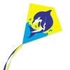 Wholesale FY-304 Dolphin kite