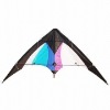 Wholesale (BEST-K008) promotion sport kite
