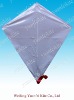 Wholesale educational PE kite