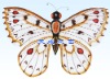 Wholesale butterfly kite--27