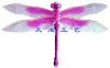 Wholesale Dragonfly Kite