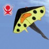 Fish kite