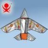 Plane kite