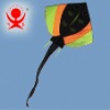 Fashion fish kite