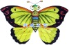 eight shape butterfly kite