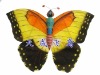Chinese Butterfly Kite