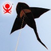 Colorful fish kite