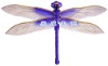 Animal Kite