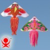 Chinese traditional kite