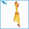 Wholesale Vinyl Shrilling Chicken