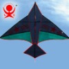 Plane kite