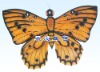 Traditional butterfly kite