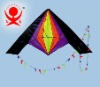 Beautiful delta kite