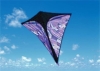kite