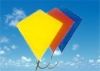 kite