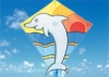 kite