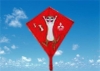 kite