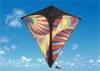 kite