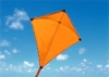 kite