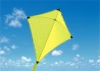 kite