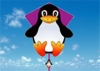 kite