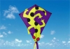 Wholesale kite