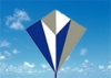 Wholesale kite