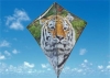 Wholesale kite