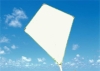 Wholesale kite