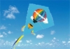 Wholesale kite