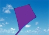 Wholesale kite