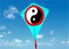 Wholesale kite