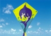 Wholesale kite