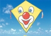 Wholesale kite