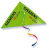 Wholesale promotional Delta kite