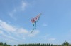mini kite/bunch kite composed of 30 pcs
