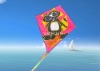 Wholesale Diamond Kite