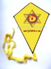 Wholesale diamond kite