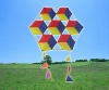 Wholesale Hexagonal kite