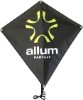 Wholesale Wonderful design diamond promotional kite