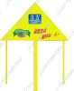 Wholesale chinese beautiful delta kite