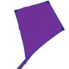 Wholesale Purple Diamond Kite