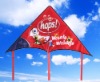 Wholesale promotional delta kite