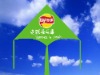 Wholesale promotional delta kite