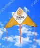 Wholesale advertising delta kite