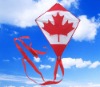 Wholesale advertising promotional kite