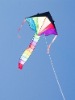 Wholesale colourful nylon kite