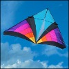 Wholesale colourful delta kite
