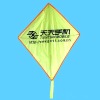 Wholesale diamond kite
