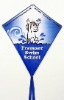 Wholesale diamond kite